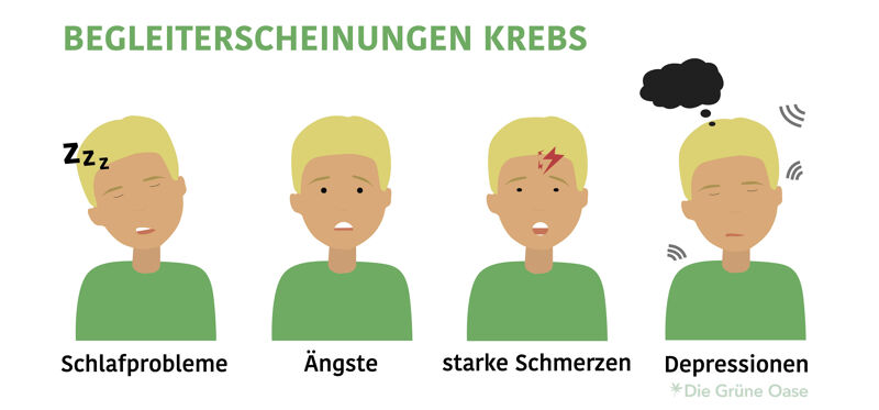 Begleiterscheinungen von CBD
